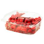 Малина домашняя