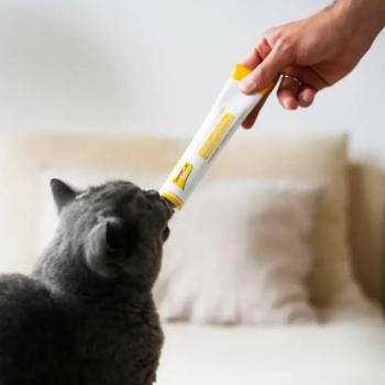 Ласощі для котів GimCat Cheese Biotin Paste 100 г - сир з біотином - купити, ціни на MasterZoo - фото 3