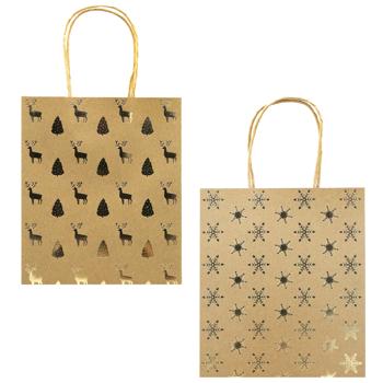 Paper Gift Bag 15x17x8cm in Assortment