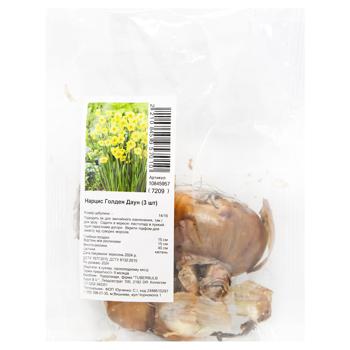 Golden Down Narcissus Bulbs 3pcs - buy, prices for MegaMarket - photo 1