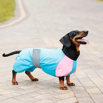 Комбінезон для собак Pet Fashion Milly M-L - купити, ціни на MasterZoo - фото 5