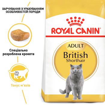 Royal Canin Dry Food with Poultry for Adult Cats of British Shorthair Breed 2kg - buy, prices for MasterZoo - photo 2