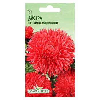 Elitsortnasinnia Hedgehog Crimson Aster Seeds 0.2g - buy, prices for NOVUS - photo 1