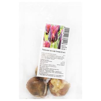 Triumph Slava Tulip Bulb 3pcs - buy, prices for Za Raz - photo 1