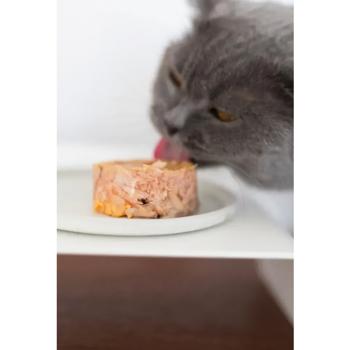 Корм вологий GimCat Shiny Cat з куркою для кошенят 70г - купити, ціни на MasterZoo - фото 2