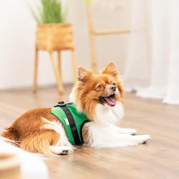 Жилет-шлея для собак Pet Fashion Ross р.XS2 зелений - купити, ціни на MasterZoo - фото 5