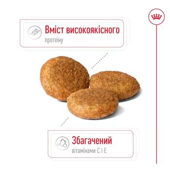 Dog food Royal canin poultry 12000g France - buy, prices for MasterZoo - photo 4