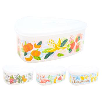 Zed Triangle Storage Container 16.5x7cm in Assortment