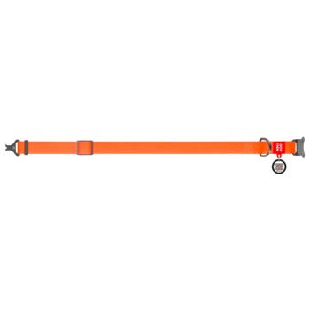 Waudog Waterproof Dog Collar with QR Passport 34-49cm/25mm Orange - buy, prices for MasterZoo - photo 3