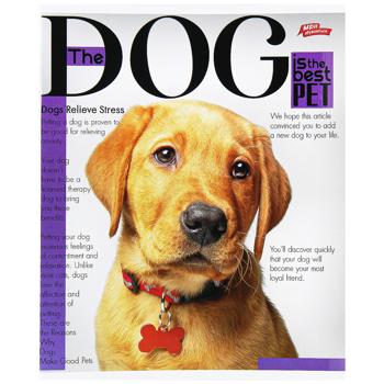 Тетрадь Мрії збуваються в клетку 48 листов в ассортименте - купить, цены на Чудо Маркет - фото 2