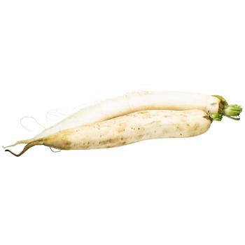 Daikon Radish