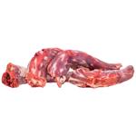 Шия качина заморожена