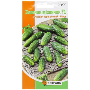 Yaskrava Cucumber-Gherkin Boy Little Finger F1 Seeds 0.5g