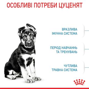 Royal Canin Maxi Puppy Dry Food for Puppies of Large Breeds 3kg - buy, prices for - photo 2