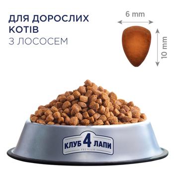 Корм сухий Club 4 Paws Premium з лососем для котів 300г - купити, ціни на - фото 2