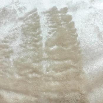 Set Pet fun - buy, prices for MasterZoo - photo 3