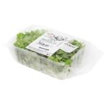 Salad mung Without brand 75g Ukraine