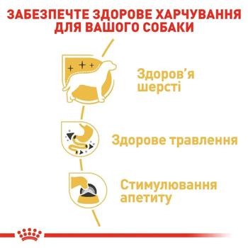 Корм вологий Royal Canin Adult з домашньою птицею для собак породи чихуахуа 9+3шт*85г - купити, ціни на MasterZoo - фото 7