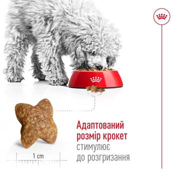 Набір корму Royal Canin Mini Adult для собак малих порід cухий 2кг + вологий 4шт х 85г - купити, ціни на MasterZoo - фото 4
