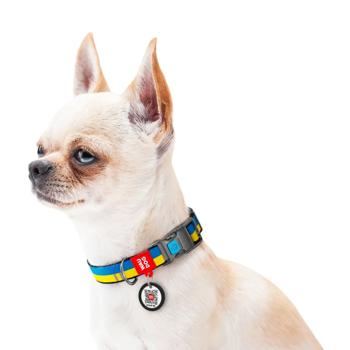 Waudog Nylon Dog Collar with QR Passport 23-35cm/15mm with Colors of Freedom Pattern - buy, prices for Za Raz - photo 4