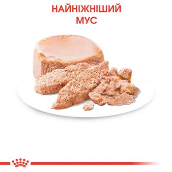 Корм влажный Royal Canin Mother & Babycat с домашней птицей для котят, беременных и кормящих кошек 195г - купить, цены на - фото 4