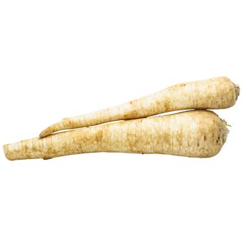 Fresh Parsley Root - buy, prices for - photo 2