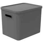 Rotho Albula Storage Box with Lid 27l