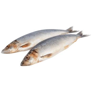 Lightly Salted Herring 300+