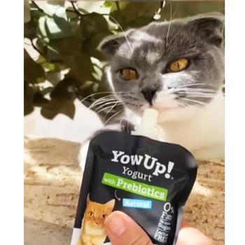 Delicacy Yowup! 85g doypack Spain - buy, prices for MasterZoo - photo 3