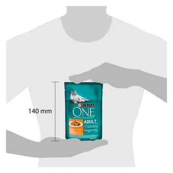 Purina One Adult Wet Food with Chicken and Green Beans for Cats 85g - buy, prices for - photo 2