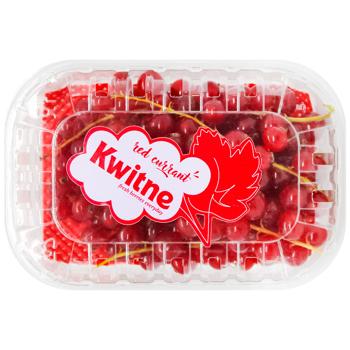 Порічки червоні, 125г KWITNE - купити, ціни на МегаМаркет - фото 2
