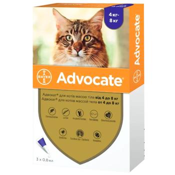 Bayer/Elanco Advocate Drops on the Withers for Cats from 4 to 8kg Against External and Internal Parasites 1 pipette - buy, prices for MasterZoo - photo 1