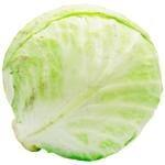 Капуста білокачанна