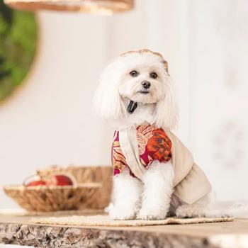 Рубашка для собак Pet Fashion Соломия р.XS бежевый - купить, цены на MasterZoo - фото 4