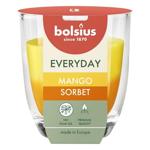 Bolsius  Gingerbread Scented Candle 8х7cm