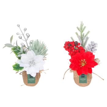 Ornamental plant poinsettia Actuel 17cm China - buy, prices for Auchan - photo 1