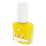 Nogotok Summer Color Nail Polish 6ml