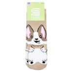 Premier Socks Dog Terry Children's Socks s.18-20