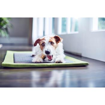 Лакомства для собак Purina DentaLife жевательные палочки для малых пород 115г - купить, цены на КОСМОС - фото 6