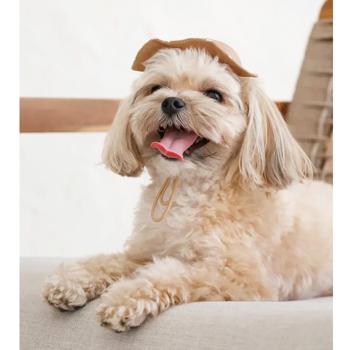 Pet Fashion Print Dog Panama s.XS Beige - buy, prices for MasterZoo - photo 6