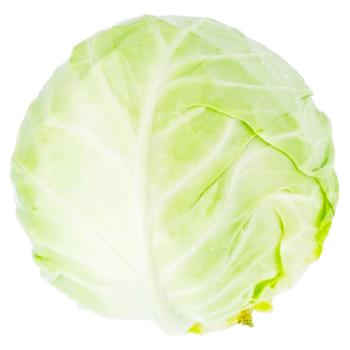 Vegetables - buy, prices for Grono - photo 1