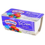 Sterilgarda cream yogurt with wild berries 2pcs*100g