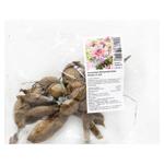 Alan Mimun Dahlia Cactus Tuber 1pc
