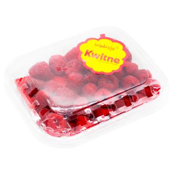 Kwitne Fresh Raspberries 125g - buy, prices for WINETIME - photo 3