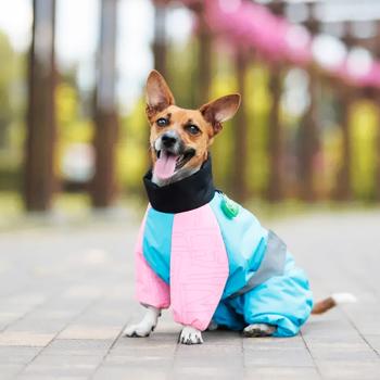 Комбінезон для собак Pet Fashion Milly M-L - купить, цены на MasterZoo - фото 6