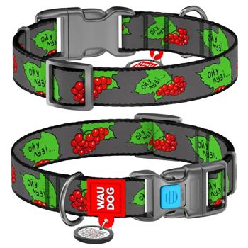 Waudog Nylon Dog Collar with QR Passport 35-58cm/25mm with Guelder Rose Pattern