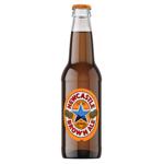 Newcastle Brown Ale Semi-Dark Beer 4,7% 0.33l