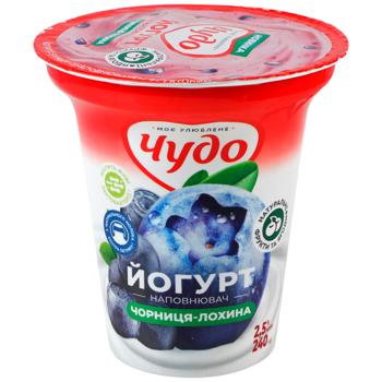 Chudo Bilberry-Blueberry with Fruit Filler Yoghurt 2.5% 240g