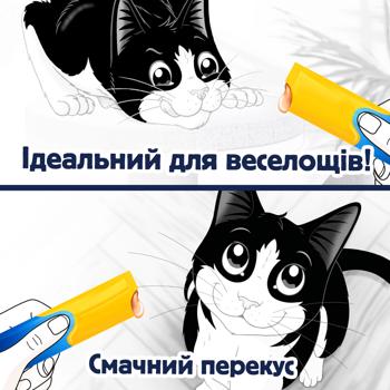 Корм дополнительный Felix Deli Moments с курицей для взрослых и пожилых кошек 40г - купить, цены на MasterZoo - фото 4
