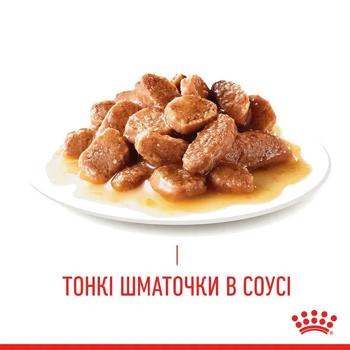 Корм вологий Royal Canin Care Light Weight для котів із зайвою вагою 85г - купити, ціни на MasterZoo - фото 3